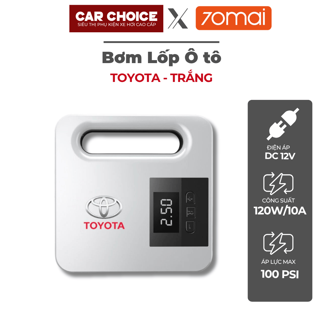Bơm lốp ô tô TT (2)